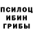 Галлюциногенные грибы Magic Shrooms den_is_decor